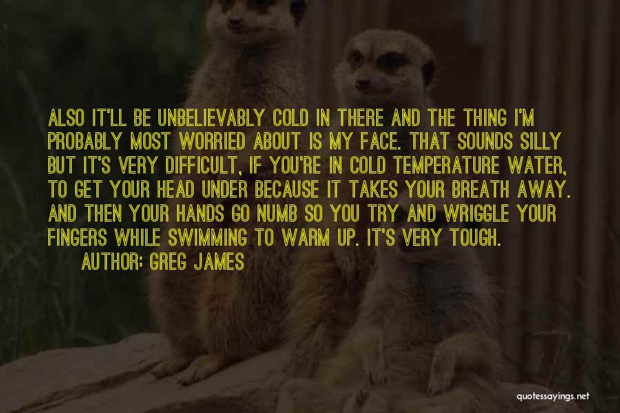 Greg James Quotes: Also It'll Be Unbelievably Cold In There And The Thing I'm Probably Most Worried About Is My Face. That Sounds