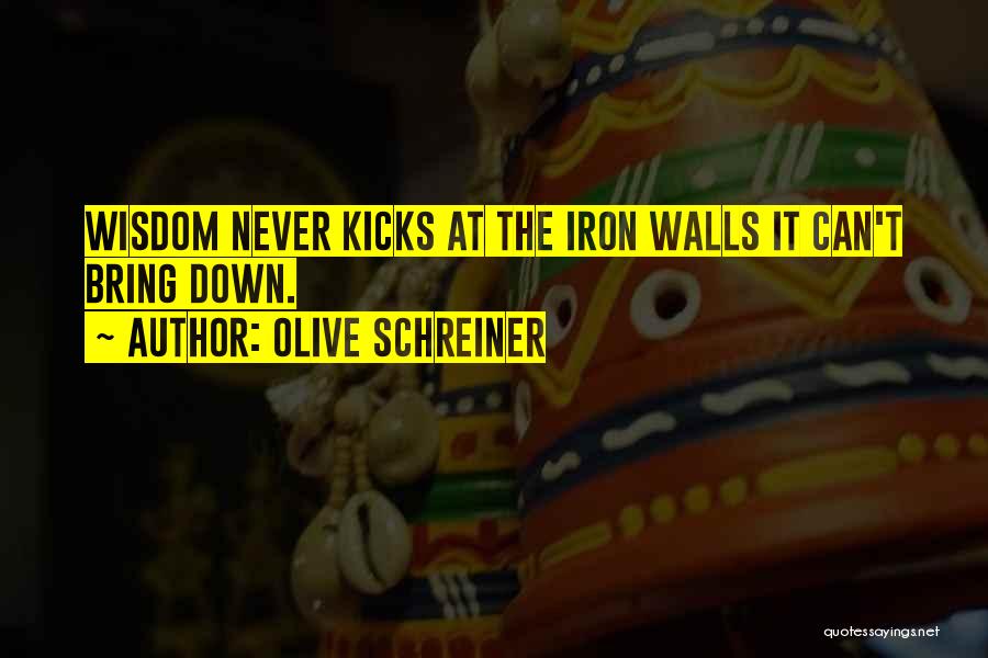 Olive Schreiner Quotes: Wisdom Never Kicks At The Iron Walls It Can't Bring Down.