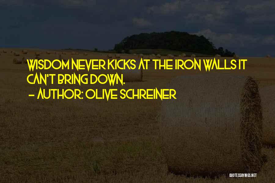 Olive Schreiner Quotes: Wisdom Never Kicks At The Iron Walls It Can't Bring Down.