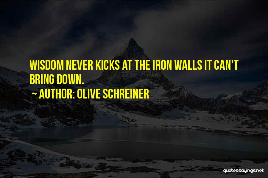 Olive Schreiner Quotes: Wisdom Never Kicks At The Iron Walls It Can't Bring Down.