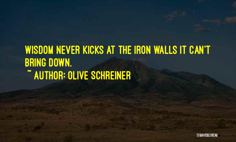 Olive Schreiner Quotes: Wisdom Never Kicks At The Iron Walls It Can't Bring Down.