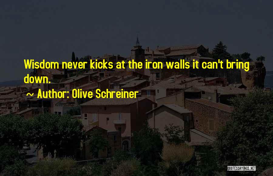 Olive Schreiner Quotes: Wisdom Never Kicks At The Iron Walls It Can't Bring Down.