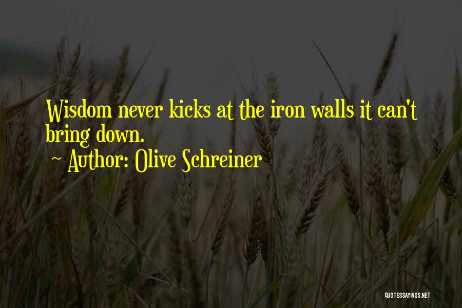 Olive Schreiner Quotes: Wisdom Never Kicks At The Iron Walls It Can't Bring Down.