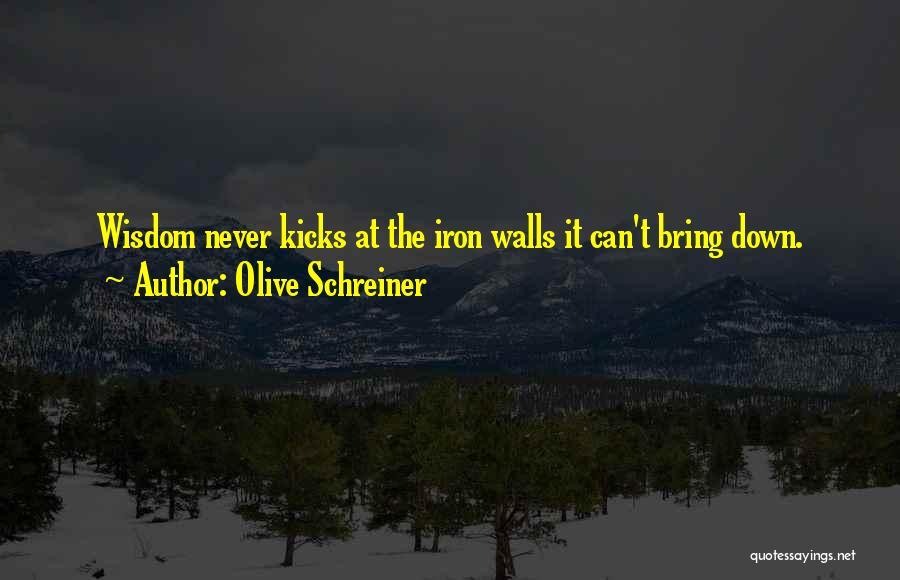Olive Schreiner Quotes: Wisdom Never Kicks At The Iron Walls It Can't Bring Down.
