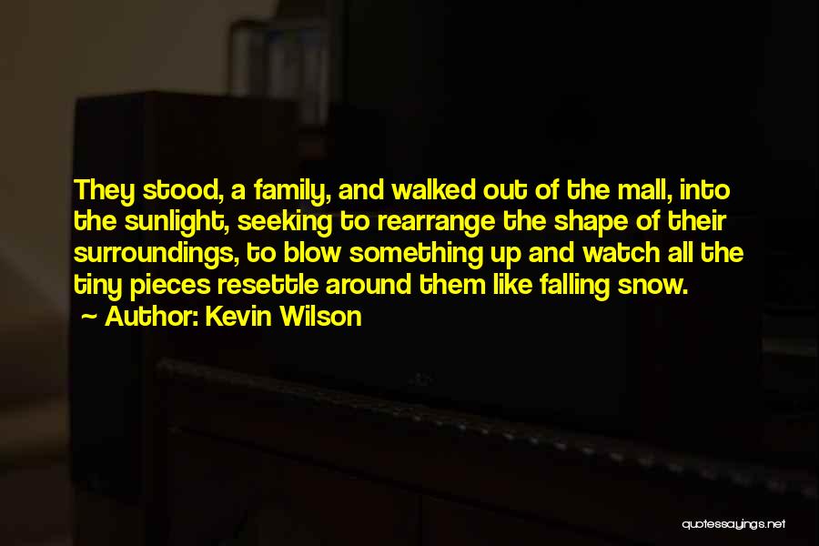 Kevin Wilson Quotes: They Stood, A Family, And Walked Out Of The Mall, Into The Sunlight, Seeking To Rearrange The Shape Of Their
