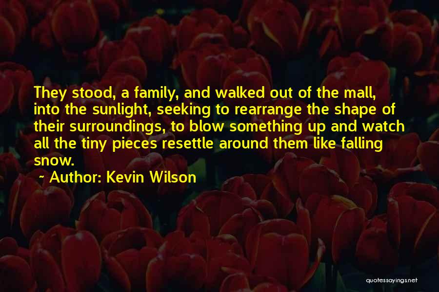 Kevin Wilson Quotes: They Stood, A Family, And Walked Out Of The Mall, Into The Sunlight, Seeking To Rearrange The Shape Of Their