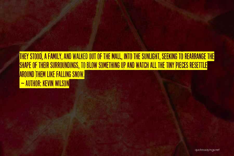 Kevin Wilson Quotes: They Stood, A Family, And Walked Out Of The Mall, Into The Sunlight, Seeking To Rearrange The Shape Of Their