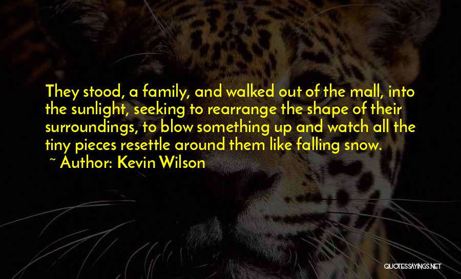 Kevin Wilson Quotes: They Stood, A Family, And Walked Out Of The Mall, Into The Sunlight, Seeking To Rearrange The Shape Of Their