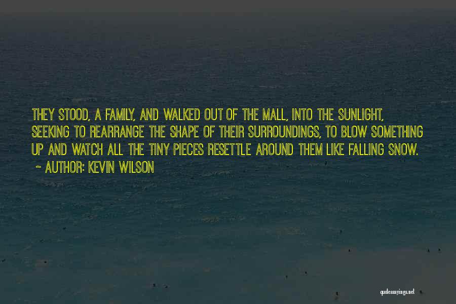 Kevin Wilson Quotes: They Stood, A Family, And Walked Out Of The Mall, Into The Sunlight, Seeking To Rearrange The Shape Of Their