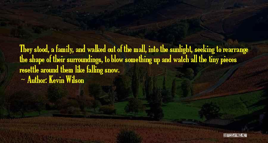 Kevin Wilson Quotes: They Stood, A Family, And Walked Out Of The Mall, Into The Sunlight, Seeking To Rearrange The Shape Of Their