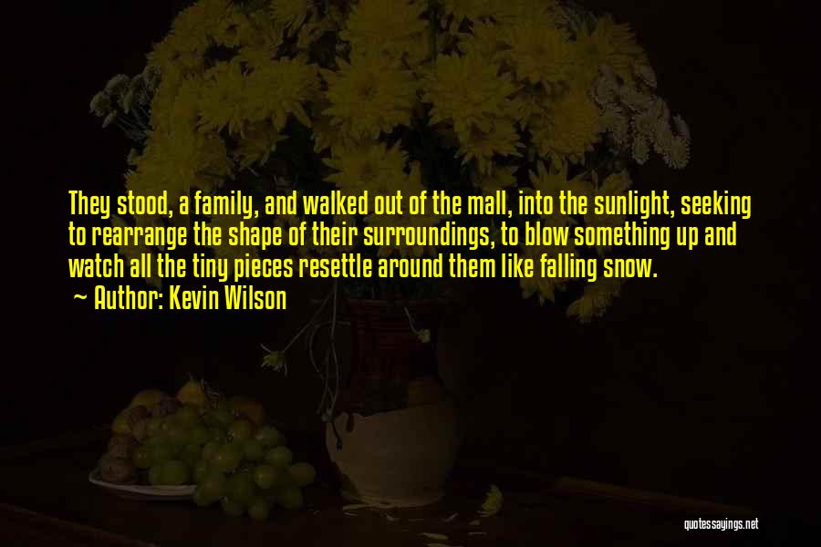 Kevin Wilson Quotes: They Stood, A Family, And Walked Out Of The Mall, Into The Sunlight, Seeking To Rearrange The Shape Of Their