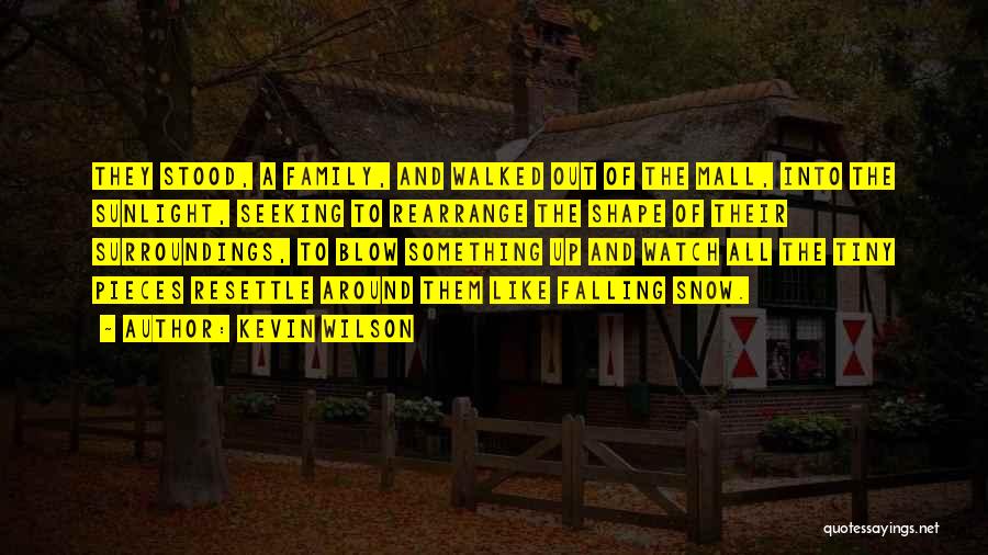 Kevin Wilson Quotes: They Stood, A Family, And Walked Out Of The Mall, Into The Sunlight, Seeking To Rearrange The Shape Of Their