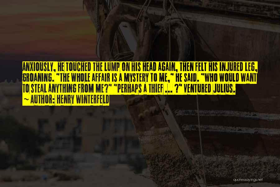 Henry Winterfeld Quotes: Anxiously, He Touched The Lump On His Head Again, Then Felt His Injured Leg, Groaning. The Whole Affair Is A