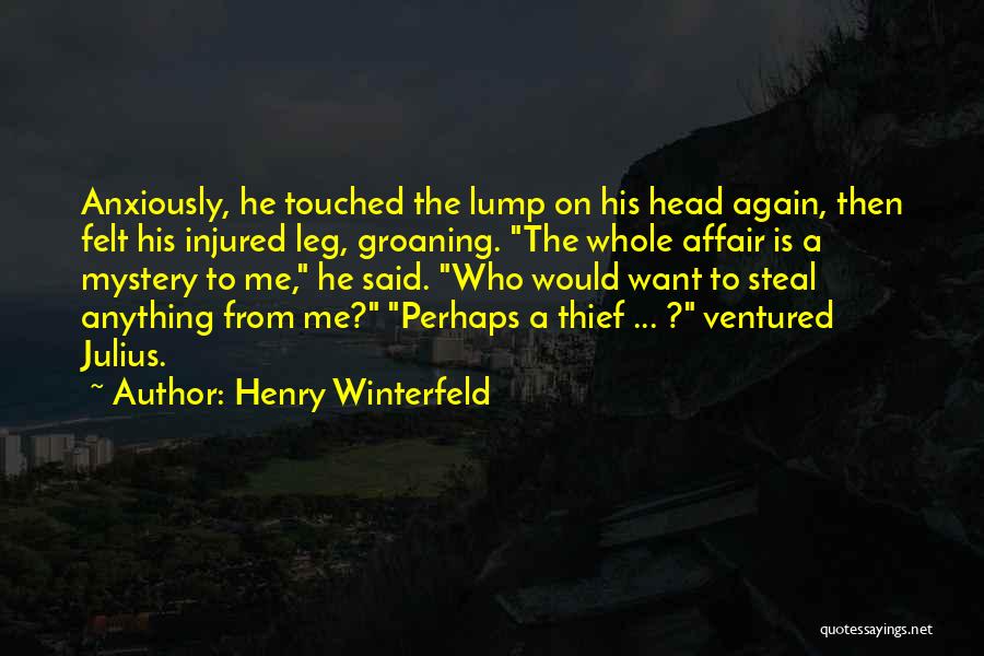 Henry Winterfeld Quotes: Anxiously, He Touched The Lump On His Head Again, Then Felt His Injured Leg, Groaning. The Whole Affair Is A