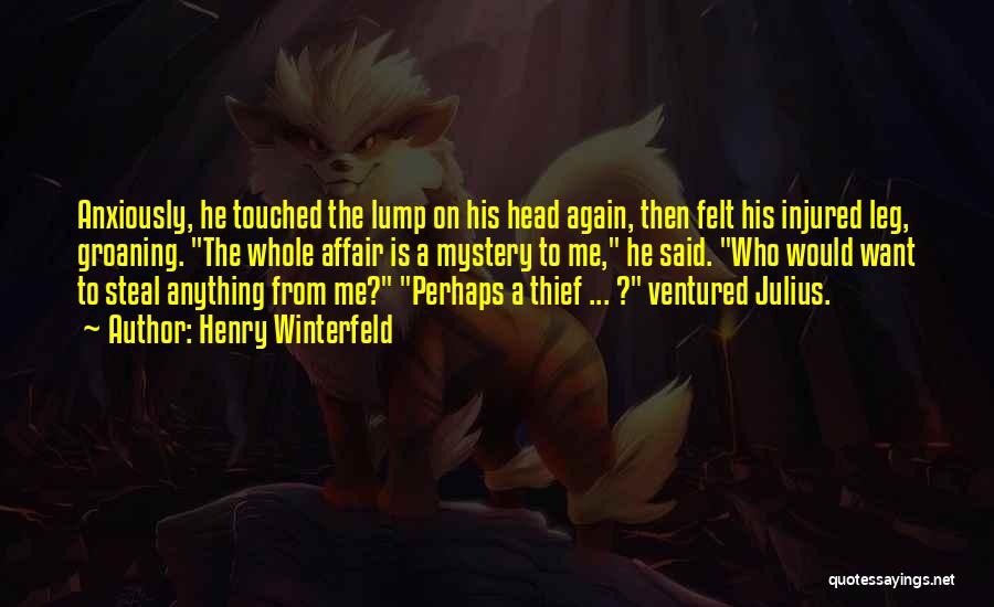Henry Winterfeld Quotes: Anxiously, He Touched The Lump On His Head Again, Then Felt His Injured Leg, Groaning. The Whole Affair Is A
