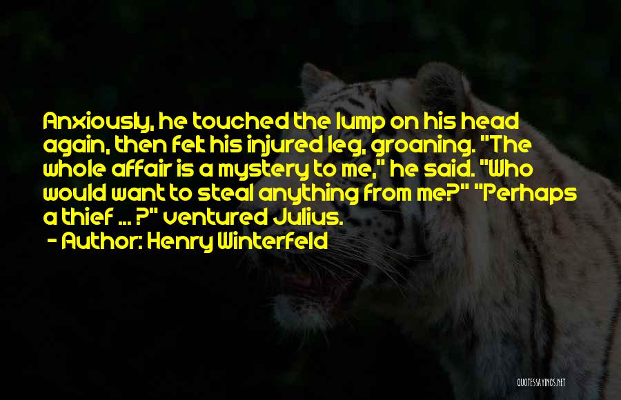 Henry Winterfeld Quotes: Anxiously, He Touched The Lump On His Head Again, Then Felt His Injured Leg, Groaning. The Whole Affair Is A