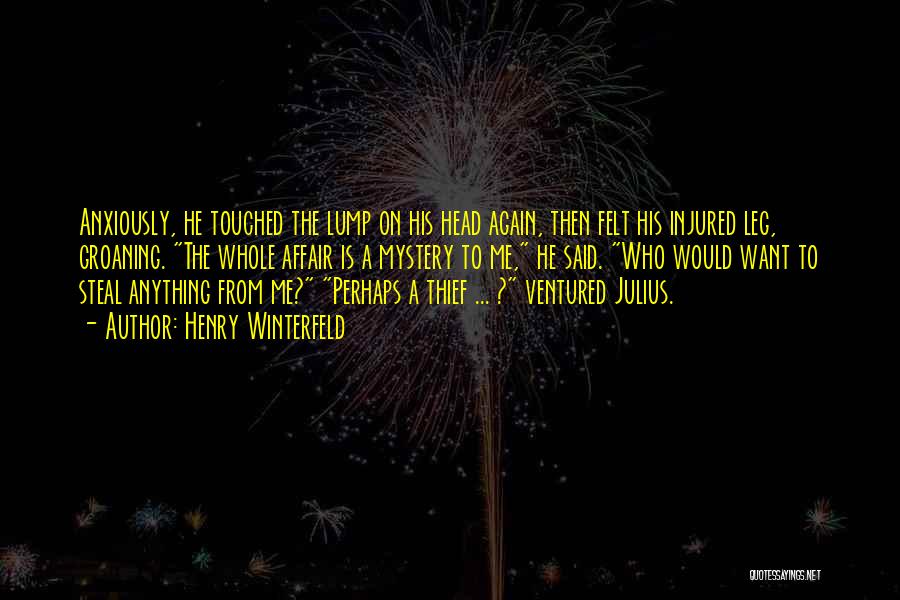 Henry Winterfeld Quotes: Anxiously, He Touched The Lump On His Head Again, Then Felt His Injured Leg, Groaning. The Whole Affair Is A