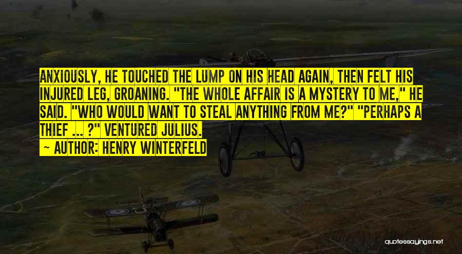 Henry Winterfeld Quotes: Anxiously, He Touched The Lump On His Head Again, Then Felt His Injured Leg, Groaning. The Whole Affair Is A