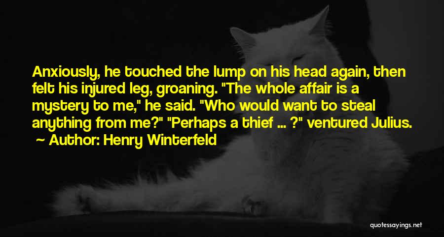 Henry Winterfeld Quotes: Anxiously, He Touched The Lump On His Head Again, Then Felt His Injured Leg, Groaning. The Whole Affair Is A