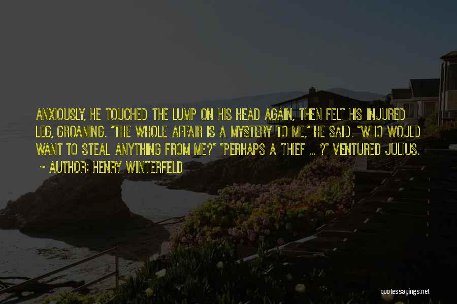 Henry Winterfeld Quotes: Anxiously, He Touched The Lump On His Head Again, Then Felt His Injured Leg, Groaning. The Whole Affair Is A