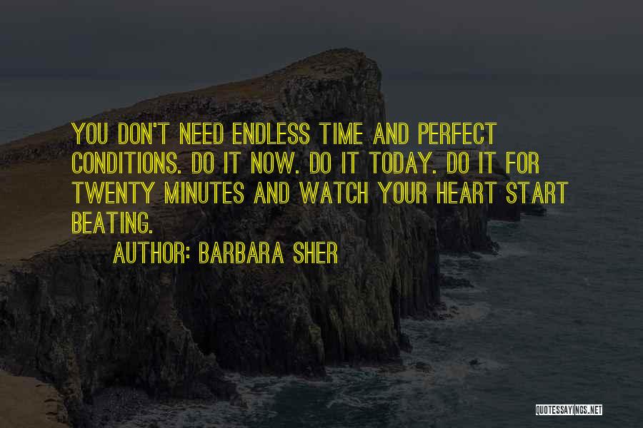 Barbara Sher Quotes: You Don't Need Endless Time And Perfect Conditions. Do It Now. Do It Today. Do It For Twenty Minutes And