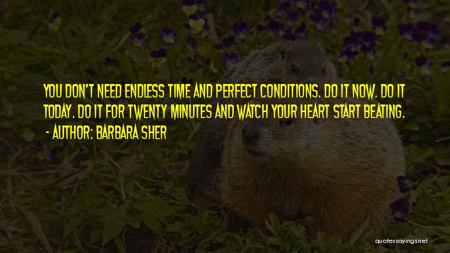 Barbara Sher Quotes: You Don't Need Endless Time And Perfect Conditions. Do It Now. Do It Today. Do It For Twenty Minutes And