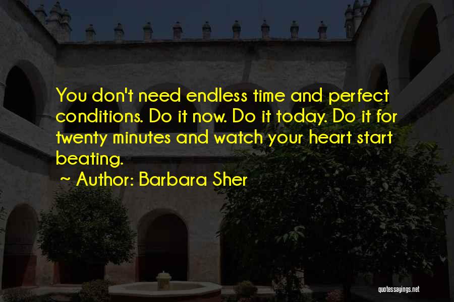 Barbara Sher Quotes: You Don't Need Endless Time And Perfect Conditions. Do It Now. Do It Today. Do It For Twenty Minutes And