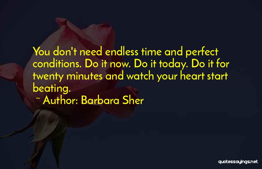 Barbara Sher Quotes: You Don't Need Endless Time And Perfect Conditions. Do It Now. Do It Today. Do It For Twenty Minutes And