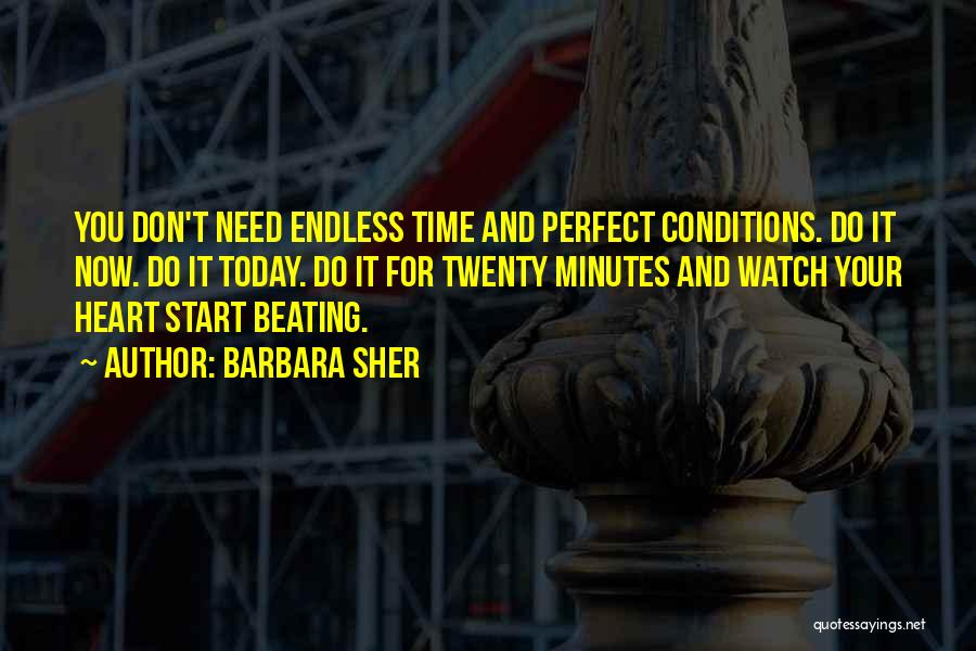 Barbara Sher Quotes: You Don't Need Endless Time And Perfect Conditions. Do It Now. Do It Today. Do It For Twenty Minutes And