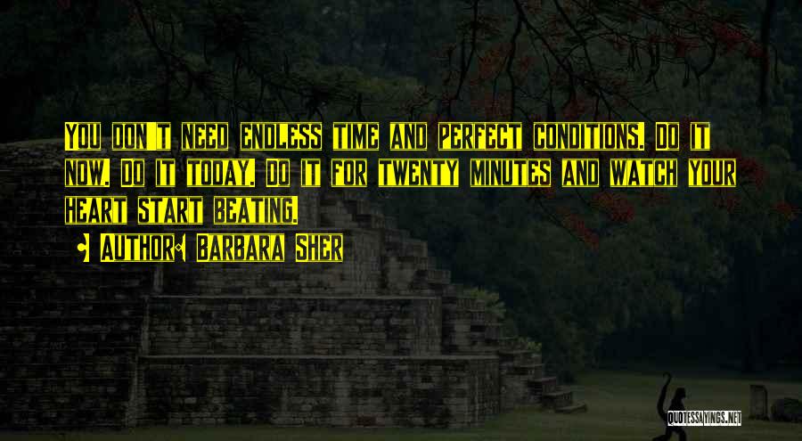 Barbara Sher Quotes: You Don't Need Endless Time And Perfect Conditions. Do It Now. Do It Today. Do It For Twenty Minutes And