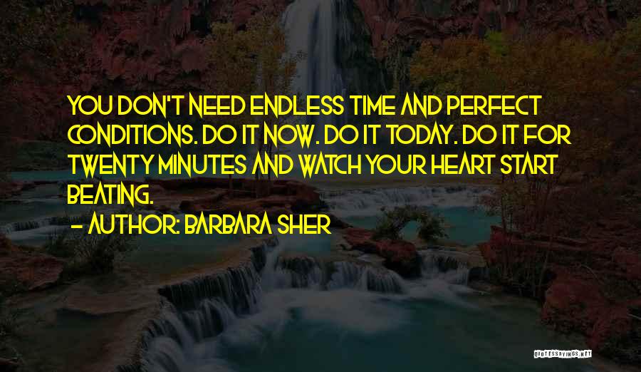 Barbara Sher Quotes: You Don't Need Endless Time And Perfect Conditions. Do It Now. Do It Today. Do It For Twenty Minutes And