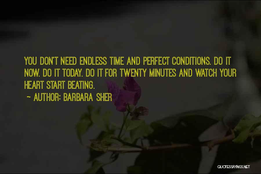 Barbara Sher Quotes: You Don't Need Endless Time And Perfect Conditions. Do It Now. Do It Today. Do It For Twenty Minutes And