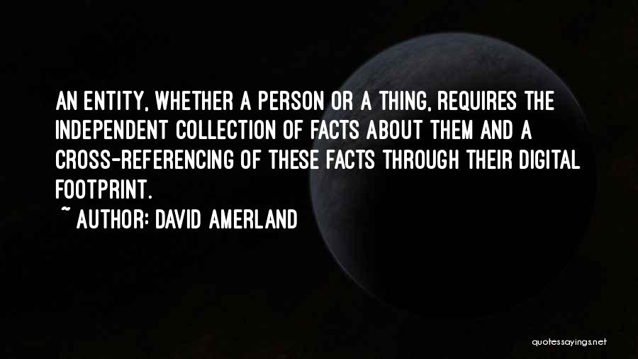 David Amerland Quotes: An Entity, Whether A Person Or A Thing, Requires The Independent Collection Of Facts About Them And A Cross-referencing Of