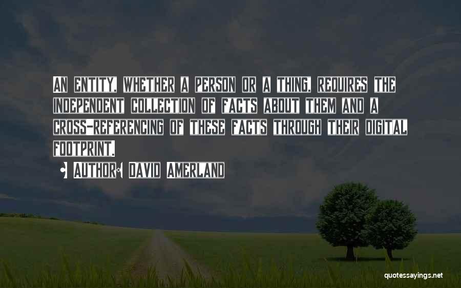 David Amerland Quotes: An Entity, Whether A Person Or A Thing, Requires The Independent Collection Of Facts About Them And A Cross-referencing Of