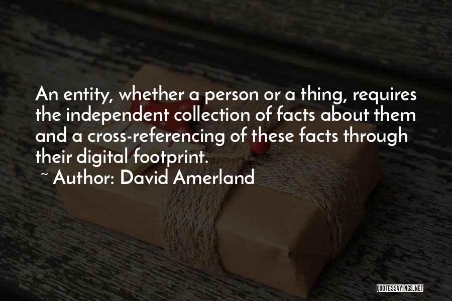 David Amerland Quotes: An Entity, Whether A Person Or A Thing, Requires The Independent Collection Of Facts About Them And A Cross-referencing Of