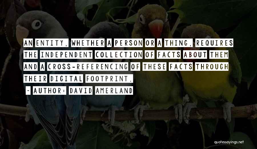 David Amerland Quotes: An Entity, Whether A Person Or A Thing, Requires The Independent Collection Of Facts About Them And A Cross-referencing Of