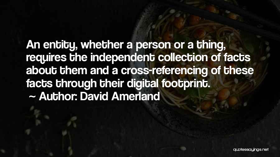 David Amerland Quotes: An Entity, Whether A Person Or A Thing, Requires The Independent Collection Of Facts About Them And A Cross-referencing Of