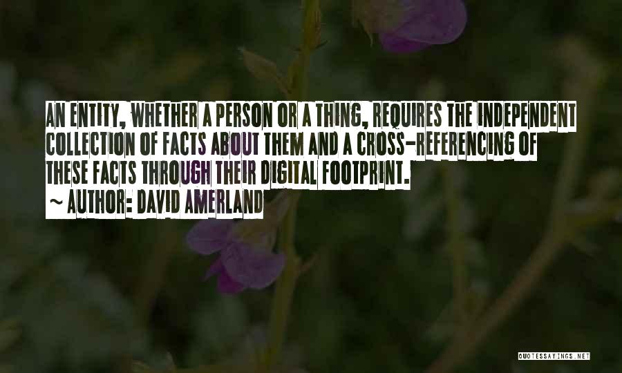 David Amerland Quotes: An Entity, Whether A Person Or A Thing, Requires The Independent Collection Of Facts About Them And A Cross-referencing Of