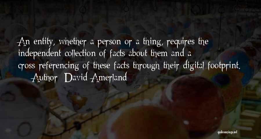 David Amerland Quotes: An Entity, Whether A Person Or A Thing, Requires The Independent Collection Of Facts About Them And A Cross-referencing Of