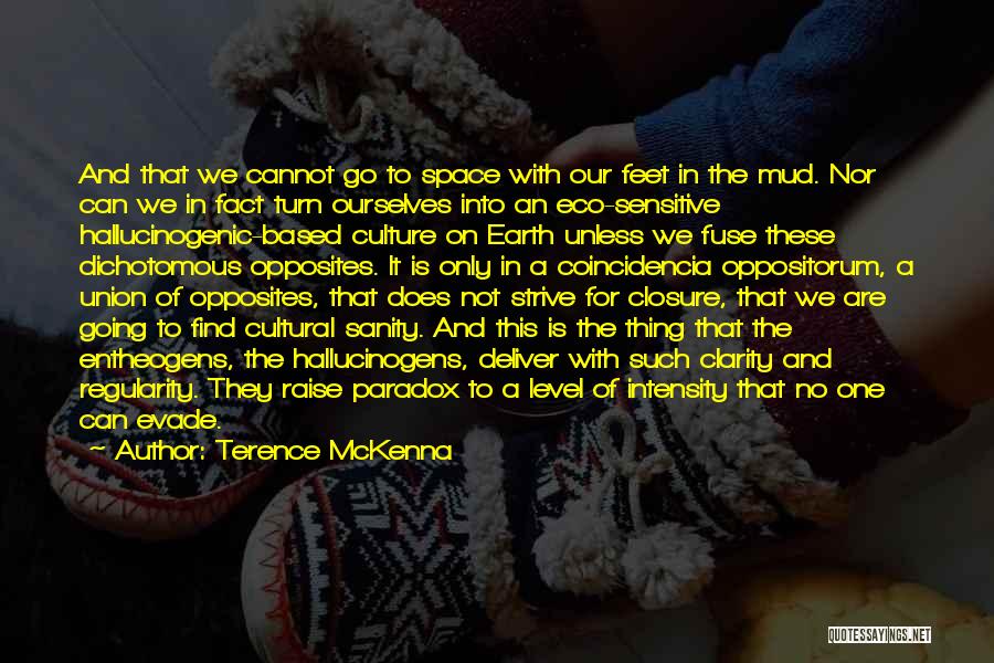 Terence McKenna Quotes: And That We Cannot Go To Space With Our Feet In The Mud. Nor Can We In Fact Turn Ourselves