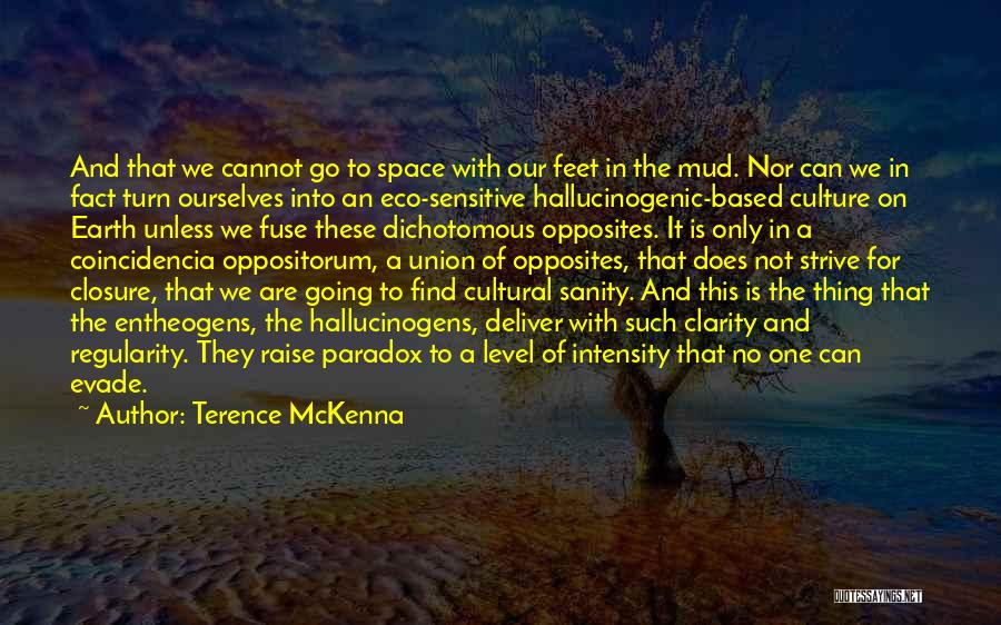 Terence McKenna Quotes: And That We Cannot Go To Space With Our Feet In The Mud. Nor Can We In Fact Turn Ourselves