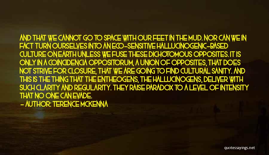 Terence McKenna Quotes: And That We Cannot Go To Space With Our Feet In The Mud. Nor Can We In Fact Turn Ourselves