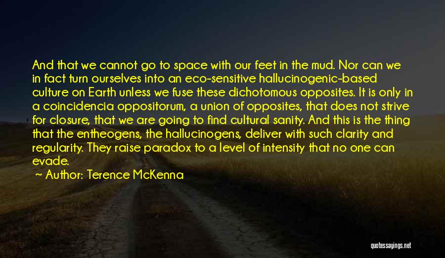 Terence McKenna Quotes: And That We Cannot Go To Space With Our Feet In The Mud. Nor Can We In Fact Turn Ourselves