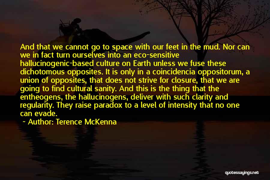 Terence McKenna Quotes: And That We Cannot Go To Space With Our Feet In The Mud. Nor Can We In Fact Turn Ourselves