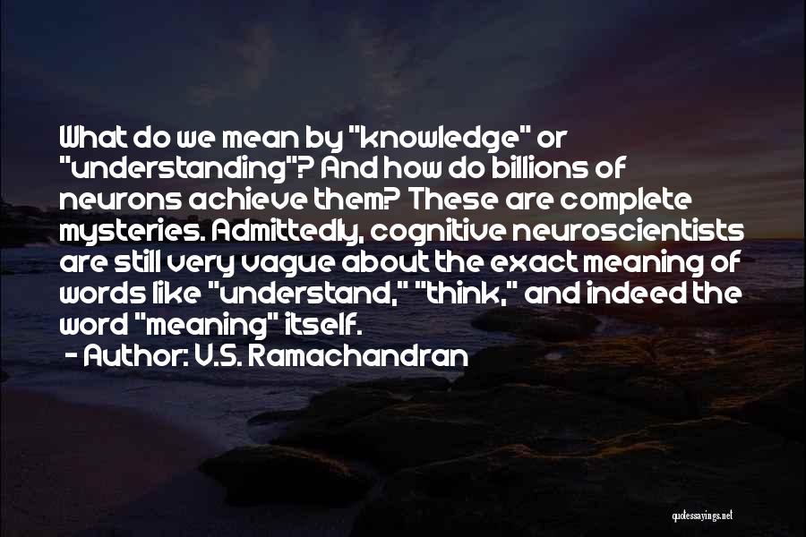 V.S. Ramachandran Quotes: What Do We Mean By Knowledge Or Understanding? And How Do Billions Of Neurons Achieve Them? These Are Complete Mysteries.