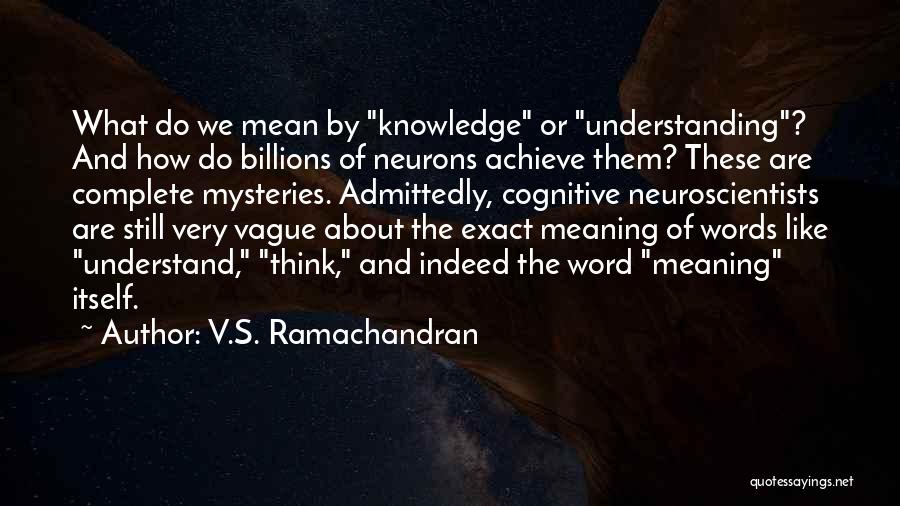 V.S. Ramachandran Quotes: What Do We Mean By Knowledge Or Understanding? And How Do Billions Of Neurons Achieve Them? These Are Complete Mysteries.