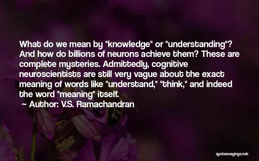 V.S. Ramachandran Quotes: What Do We Mean By Knowledge Or Understanding? And How Do Billions Of Neurons Achieve Them? These Are Complete Mysteries.