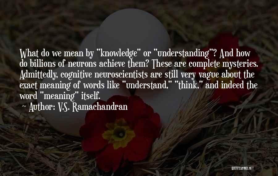 V.S. Ramachandran Quotes: What Do We Mean By Knowledge Or Understanding? And How Do Billions Of Neurons Achieve Them? These Are Complete Mysteries.