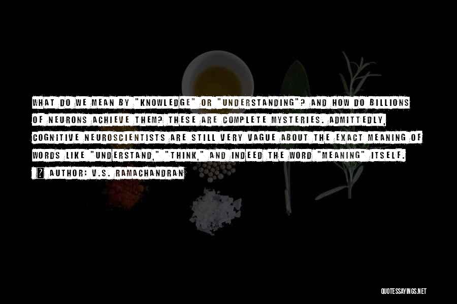 V.S. Ramachandran Quotes: What Do We Mean By Knowledge Or Understanding? And How Do Billions Of Neurons Achieve Them? These Are Complete Mysteries.