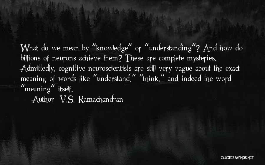 V.S. Ramachandran Quotes: What Do We Mean By Knowledge Or Understanding? And How Do Billions Of Neurons Achieve Them? These Are Complete Mysteries.